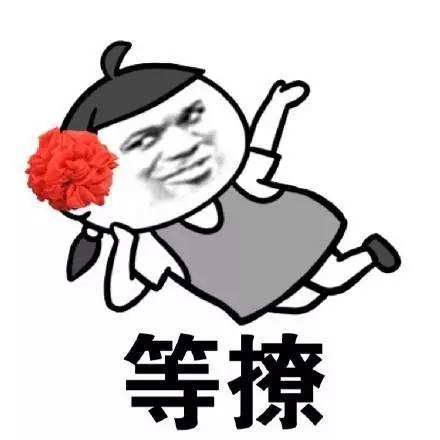 timg (7)